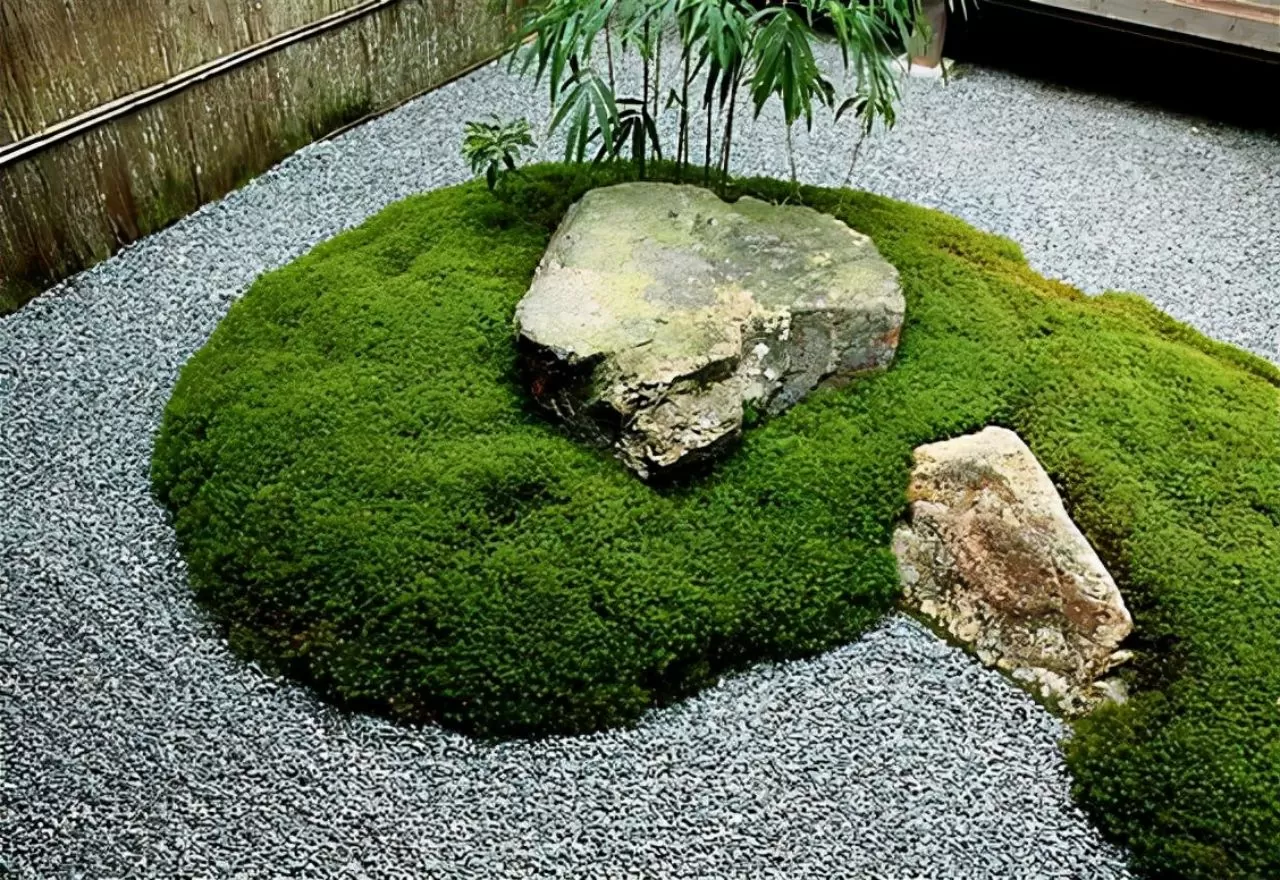 图片[19]半点设计_庭院设计_别墅造园_屋顶花园_阳台花园设计在庭院中的苔藓植物半点设计_庭院设计_别墅造园_屋顶花园_阳台花园设计半点设计