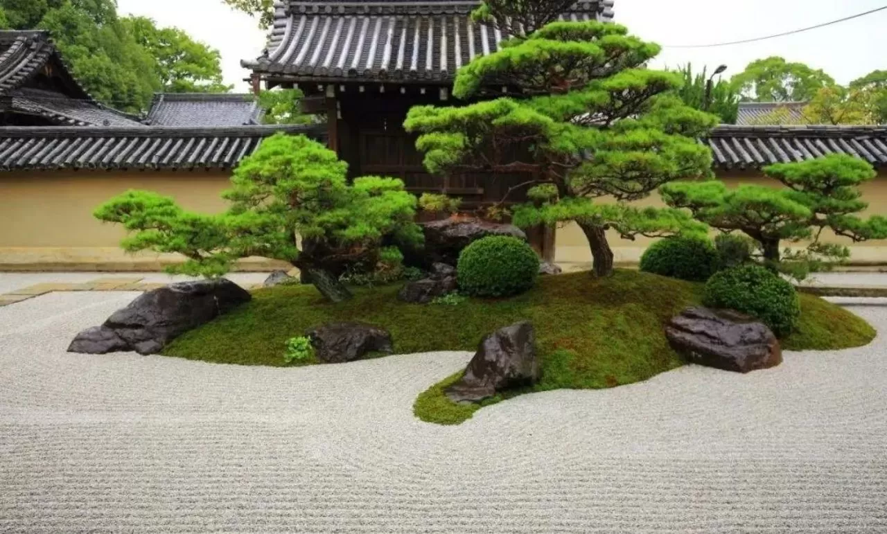图片[14]半点设计_庭院设计_别墅造园_屋顶花园_阳台花园设计在庭院中的苔藓植物半点设计_庭院设计_别墅造园_屋顶花园_阳台花园设计半点设计