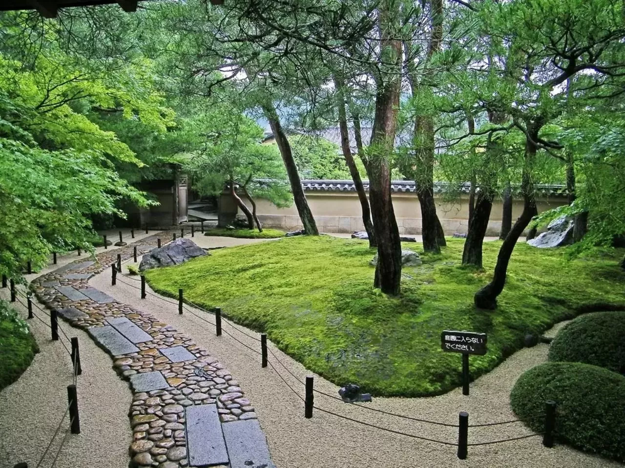 图片[6]半点设计_庭院设计_别墅造园_屋顶花园_阳台花园设计在庭院中的苔藓植物半点设计_庭院设计_别墅造园_屋顶花园_阳台花园设计半点设计