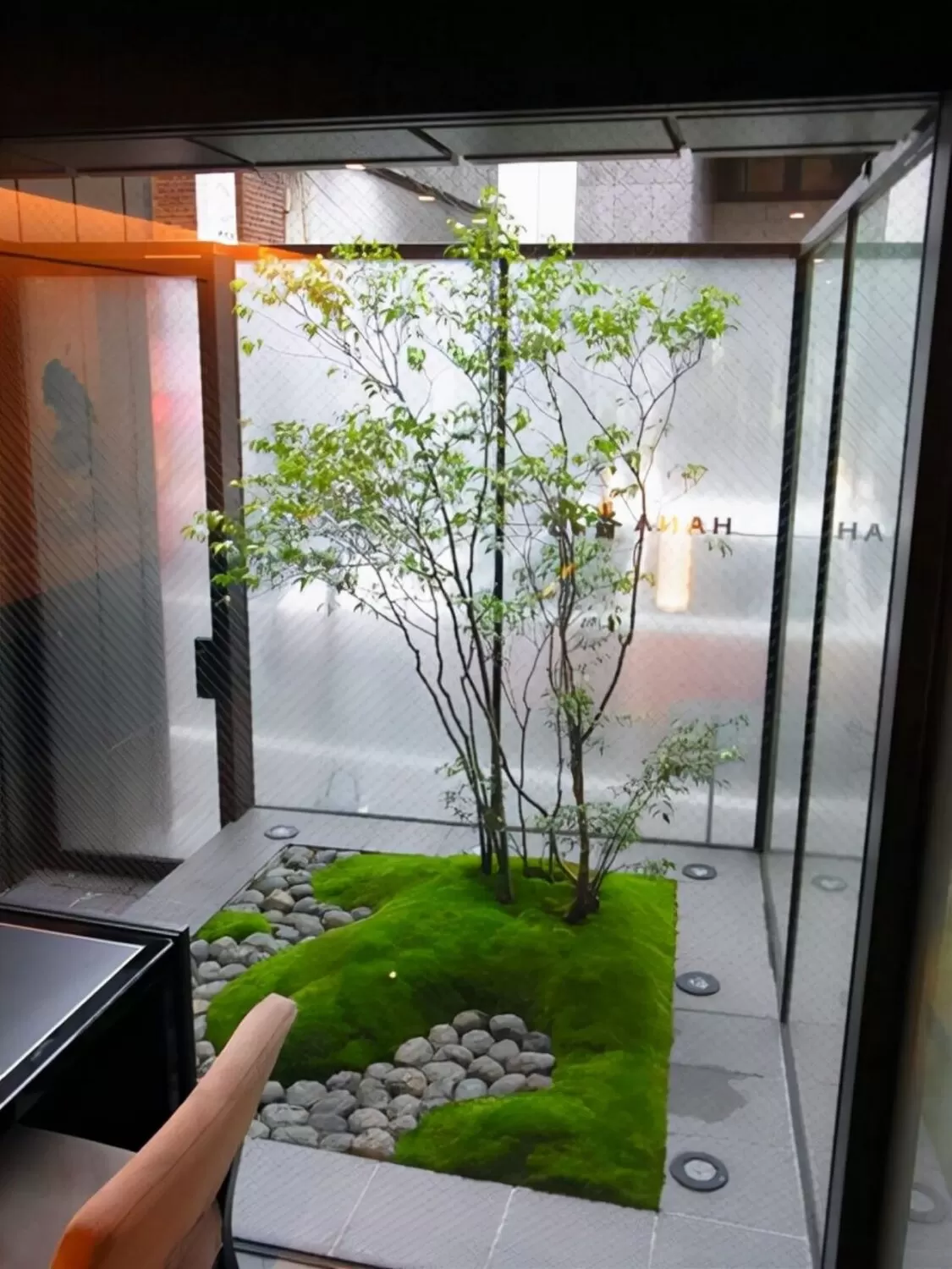 图片[26]半点设计_庭院设计_别墅造园_屋顶花园_阳台花园设计在庭院中的苔藓植物半点设计_庭院设计_别墅造园_屋顶花园_阳台花园设计半点设计