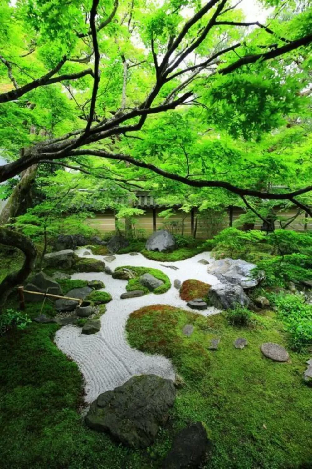 图片[27]半点设计_庭院设计_别墅造园_屋顶花园_阳台花园设计在庭院中的苔藓植物半点设计_庭院设计_别墅造园_屋顶花园_阳台花园设计半点设计