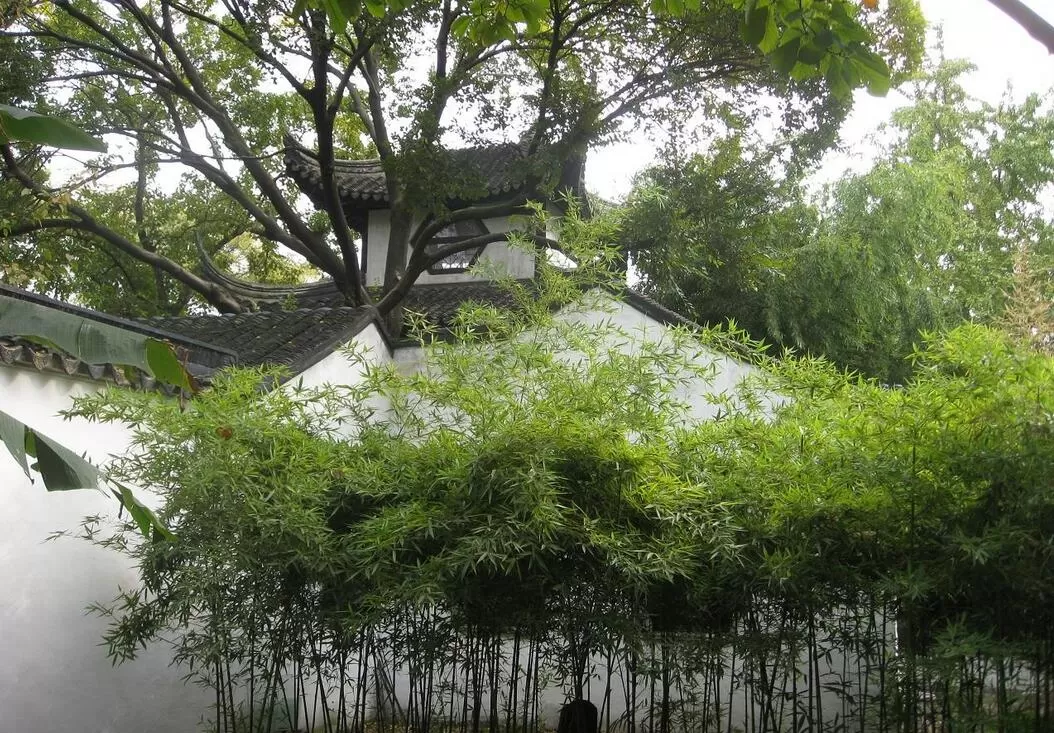 图片[8]半点设计_庭院设计_别墅造园_屋顶花园_阳台花园设计苏州最古老的园林—沧浪亭半点设计_庭院设计_别墅造园_屋顶花园_阳台花园设计半点设计
