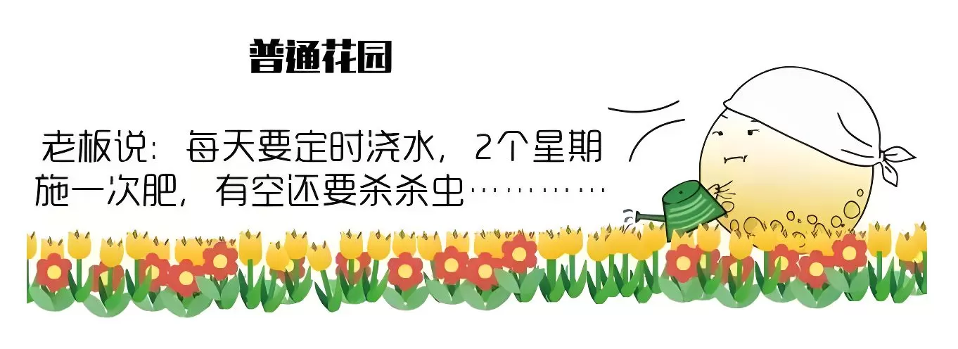 图片[4]半点设计_庭院设计_别墅造园_屋顶花园_阳台花园设计雨水花园解读——如何打造一个雨水花园？半点设计_庭院设计_别墅造园_屋顶花园_阳台花园设计半点设计