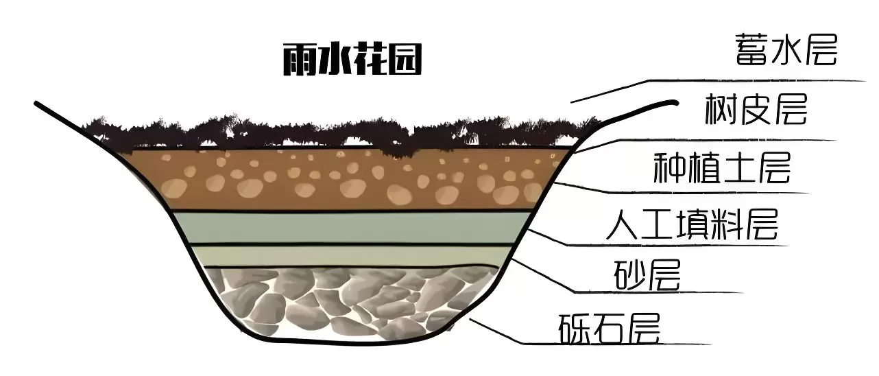 图片[3]半点设计_庭院设计_别墅造园_屋顶花园_阳台花园设计雨水花园解读——如何打造一个雨水花园？半点设计_庭院设计_别墅造园_屋顶花园_阳台花园设计半点设计