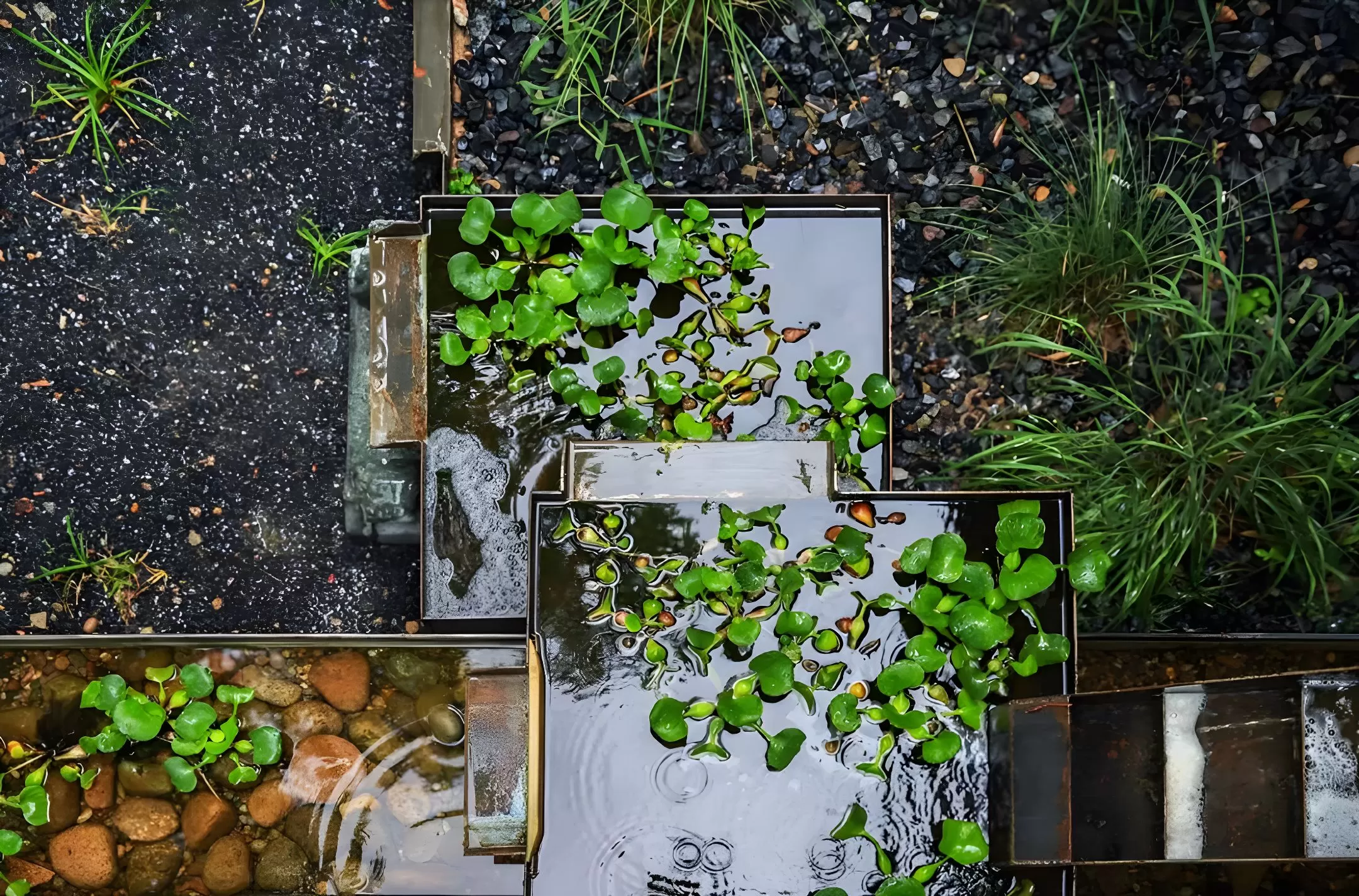 图片[35]半点设计_庭院设计_别墅造园_屋顶花园_阳台花园设计雨水花园解读——如何打造一个雨水花园？半点设计_庭院设计_别墅造园_屋顶花园_阳台花园设计半点设计