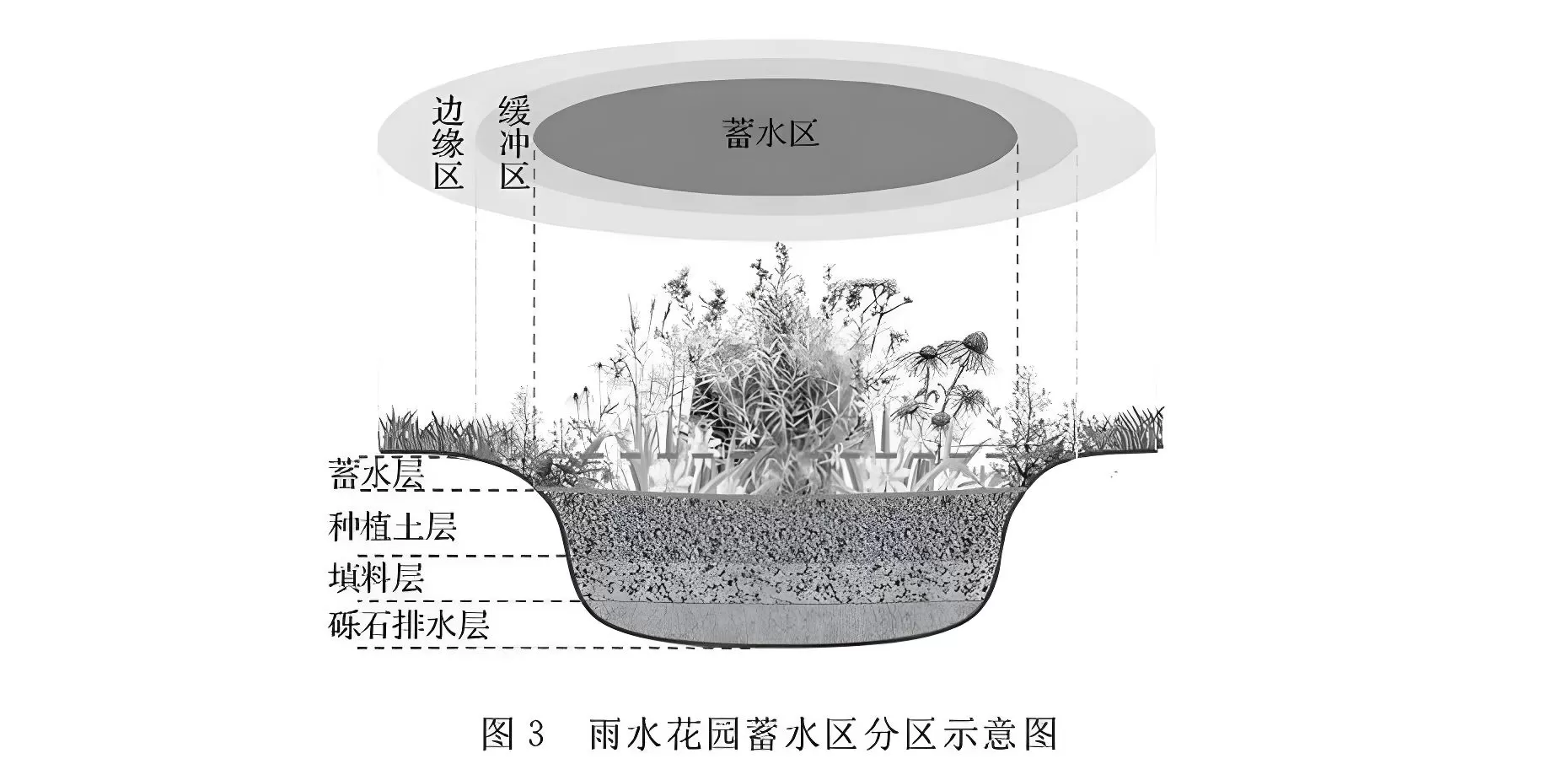 图片[6]半点设计_庭院设计_别墅造园_屋顶花园_阳台花园设计雨水花园解读——如何打造一个雨水花园？半点设计_庭院设计_别墅造园_屋顶花园_阳台花园设计半点设计