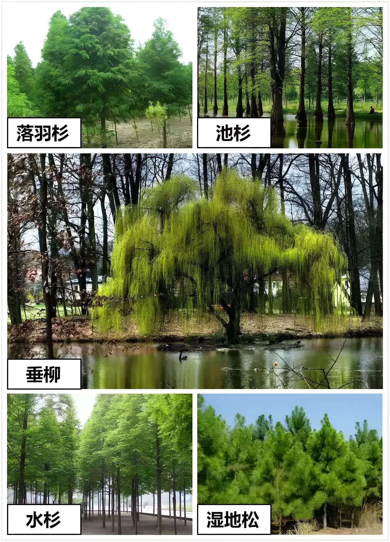 图片[7]半点设计_庭院设计_别墅造园_屋顶花园_阳台花园设计雨水花园解读——如何打造一个雨水花园？半点设计_庭院设计_别墅造园_屋顶花园_阳台花园设计半点设计