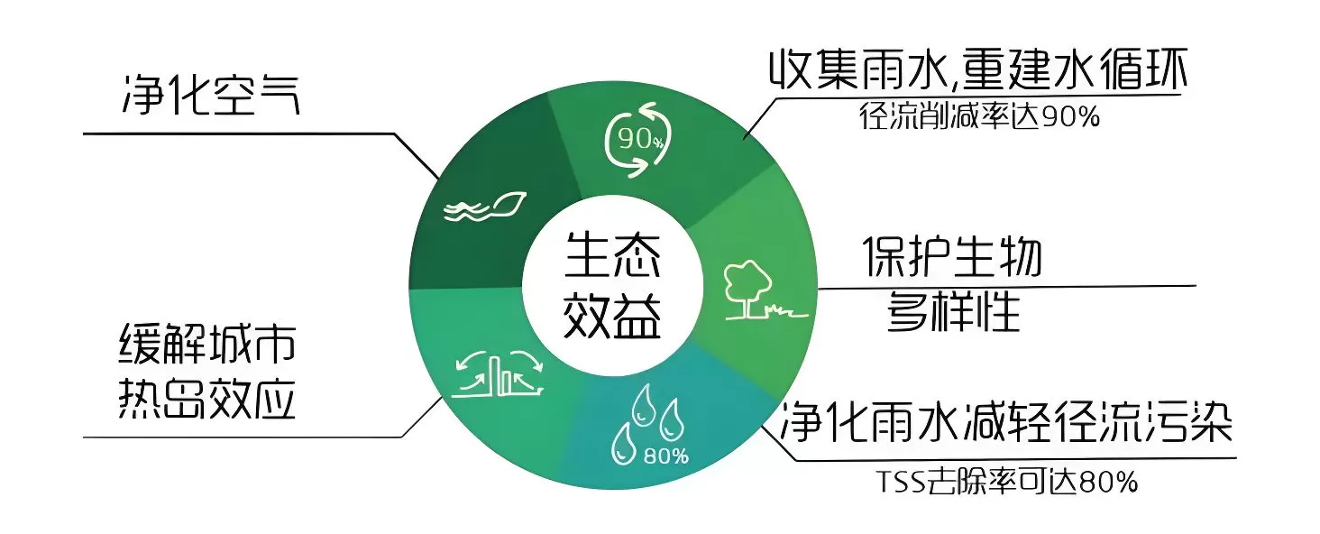 图片[1]半点设计_庭院设计_别墅造园_屋顶花园_阳台花园设计雨水花园解读——如何打造一个雨水花园？半点设计_庭院设计_别墅造园_屋顶花园_阳台花园设计半点设计